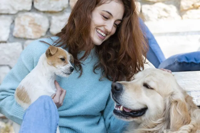 Proiecte case - Sfaturi utile pentru un iubitor de animale