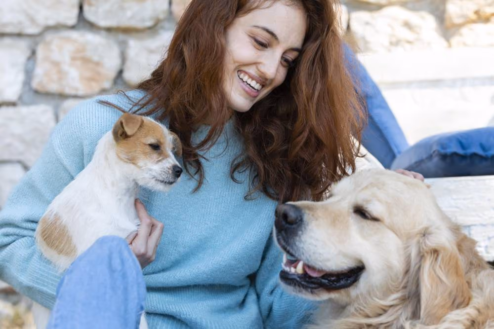 Proiecte case - Sfaturi utile pentru un iubitor de animale
