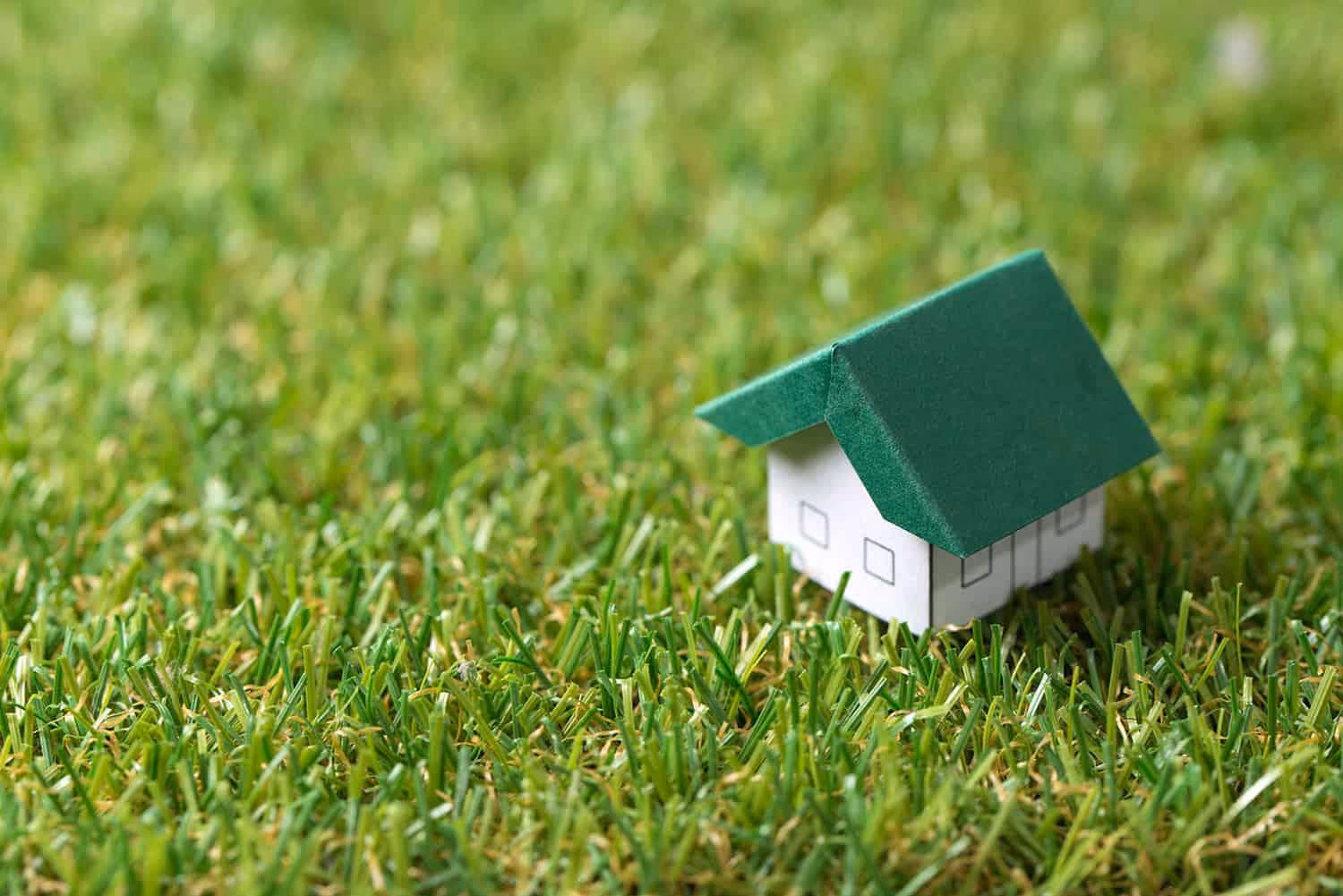 Proiecte casă - Cum poți obține o locuință eco-friendly