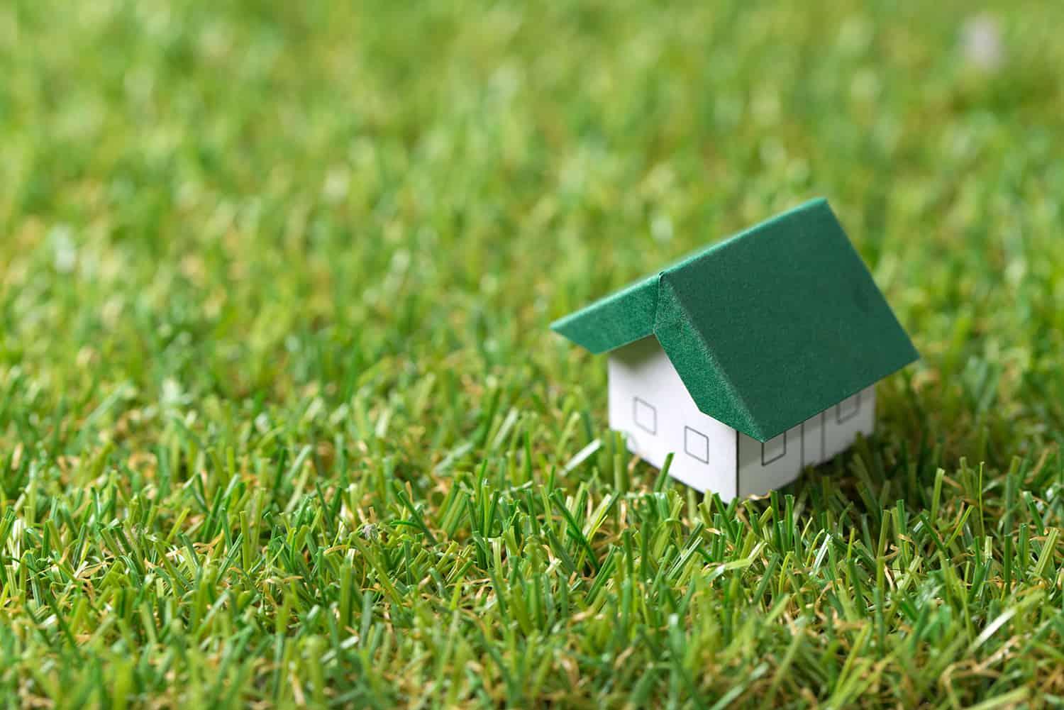 Proiecte casă - Cum poți obține o locuință eco-friendly